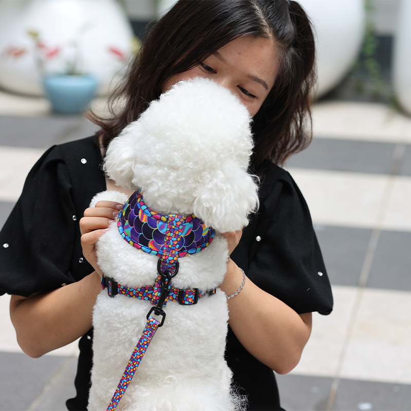 OKEYPETS Harnais pour chien nouveau design, vente en gros, ceinture souple en néoprène avec nœud papillon 12