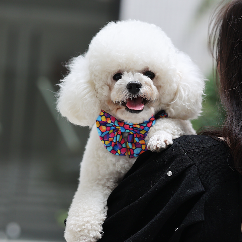 OKEYPETS Harnais pour chien nouveau design, vente en gros, ceinture souple en néoprène avec nœud papillon 13