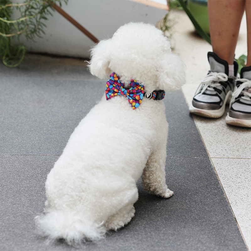 OKEYPETS Harnais pour chien nouveau design, vente en gros, ceinture souple en néoprène avec nœud papillon 10