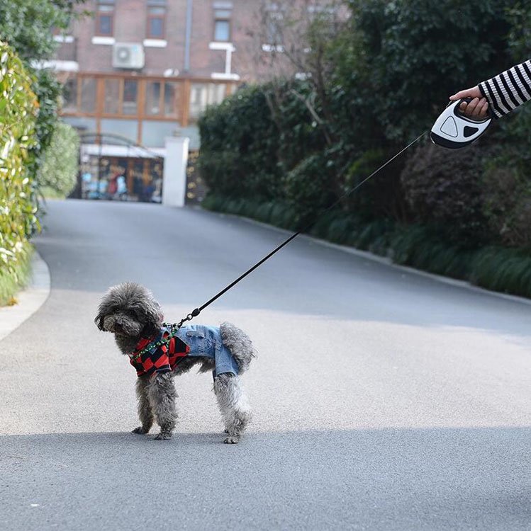 Laisse rétractable pour chien OKEYPETS avec lampe torche LED puissante, poignée antidérapante et confortable, pour une promenade automatique personnalisée. 9