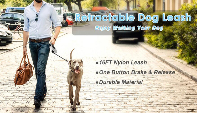 Laisse rétractable pour chien OKEYPETS avec lampe torche LED puissante, poignée antidérapante et confortable, pour une promenade automatique personnalisée. 8