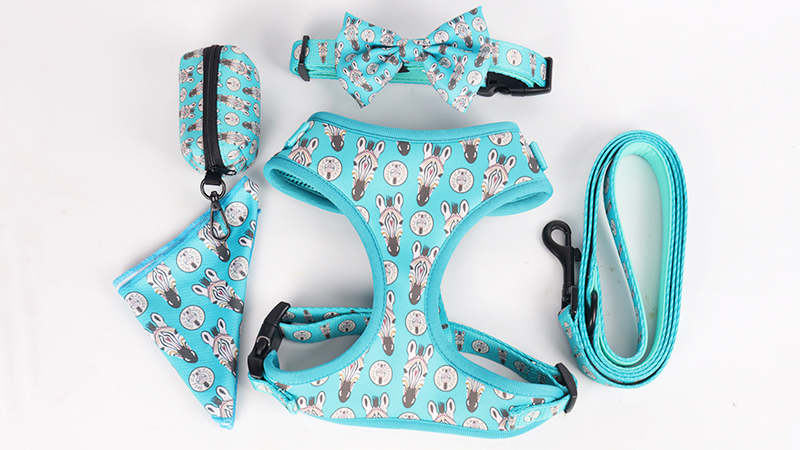 OKEYPETS - Collier et harnais rembourrés de luxe, ajustables et personnalisés avec logo imprimé par sublimation 7
