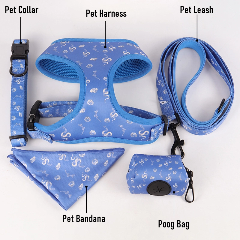 Fournisseur de Guangzhou OKEYPETS : Ensemble collier, harnais et laisse 5 en 1 pour animaux de compagnie, en promotion 6