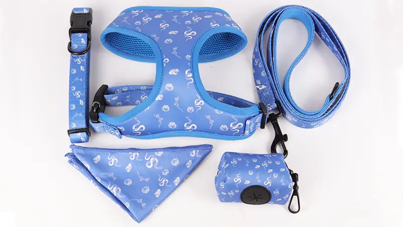 Fournisseur de Guangzhou OKEYPETS : Ensemble collier, harnais et laisse 5 en 1 pour animaux de compagnie, en promotion 1