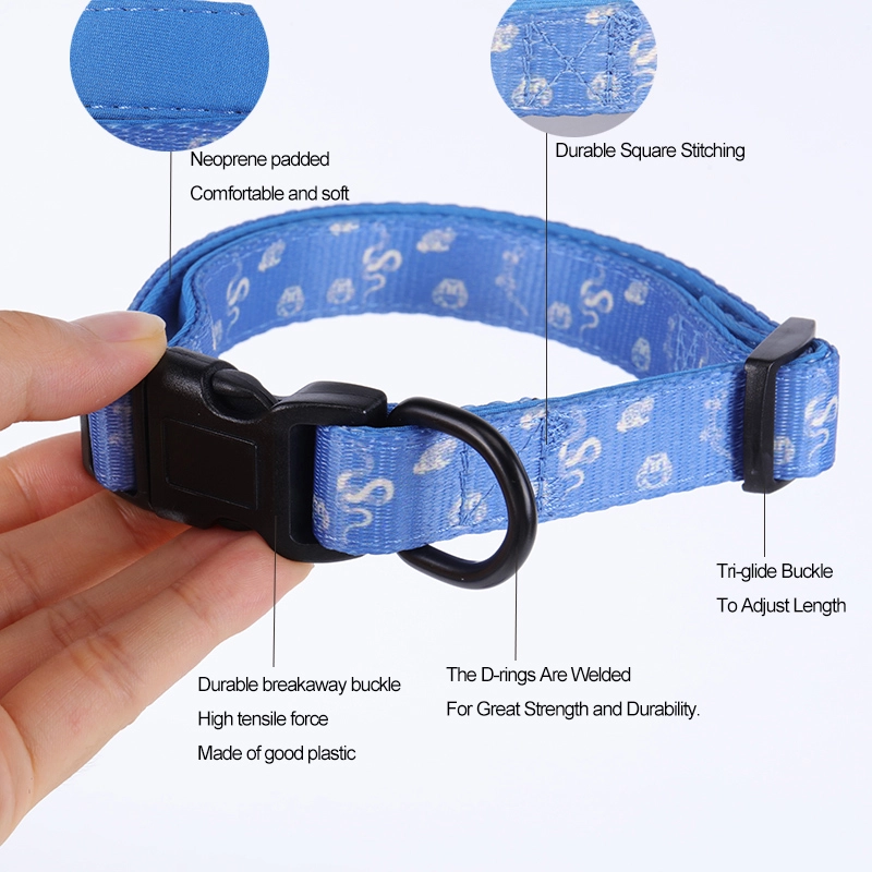 Fournisseur de Guangzhou OKEYPETS : Ensemble collier, harnais et laisse 5 en 1 pour animaux de compagnie, en promotion 9