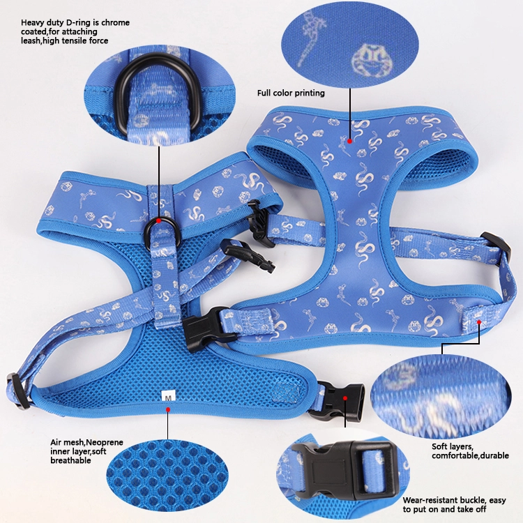 Fournisseur de Guangzhou OKEYPETS : Ensemble collier, harnais et laisse 5 en 1 pour animaux de compagnie, en promotion 7