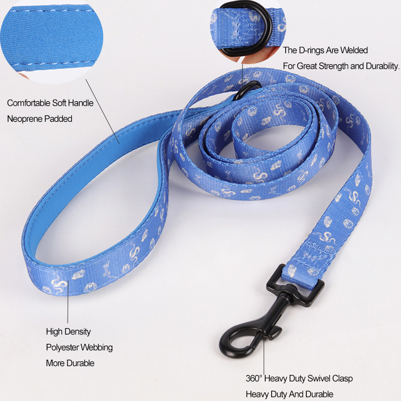 Fournisseur de Guangzhou OKEYPETS : Ensemble collier, harnais et laisse 5 en 1 pour animaux de compagnie, en promotion 8