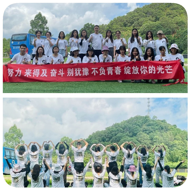 Fournisseur de Guangzhou OKEYPETS : Ensemble collier, harnais et laisse 5 en 1 pour animaux de compagnie, en promotion 20