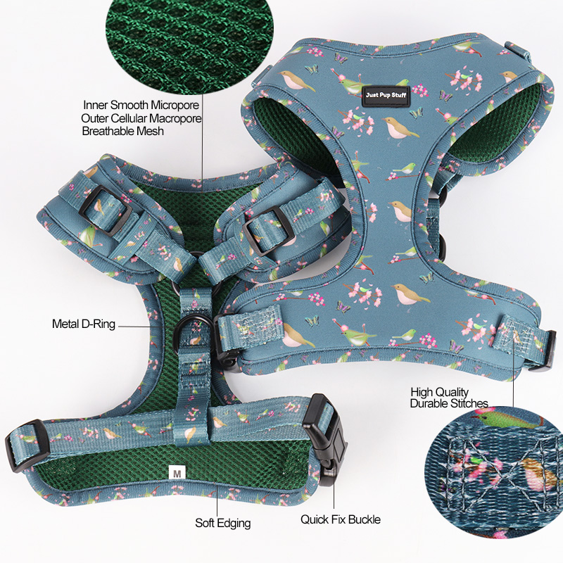 Harnais léger et sécuritaire pour animaux de compagnie OKEYPETS, confortable en néoprène et maille douce. 9