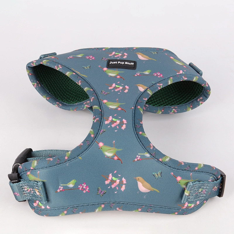 Harnais léger et sécuritaire pour animaux de compagnie OKEYPETS, confortable en néoprène et maille douce. 10