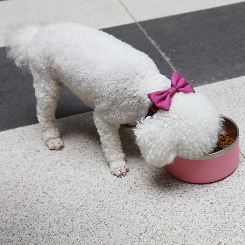 OKEYPETS Kisállat-kiegészítők Nagykereskedelmi Kutya Luxus Tál 32/64oz Utazó Hordozható Egyedi Logós Rozsdamentes Acél Kutyatálak 12