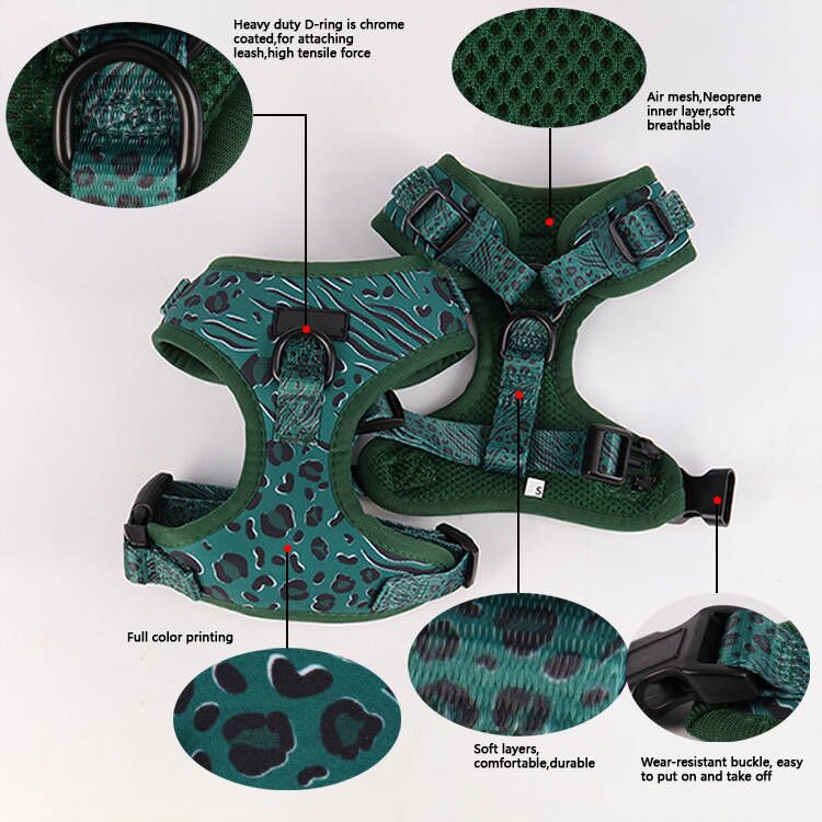 Fabricant de harnais pour chiens en néoprène sur mesure. Harnais rembourré et résistant pour chiots. Élégant et durable. 9