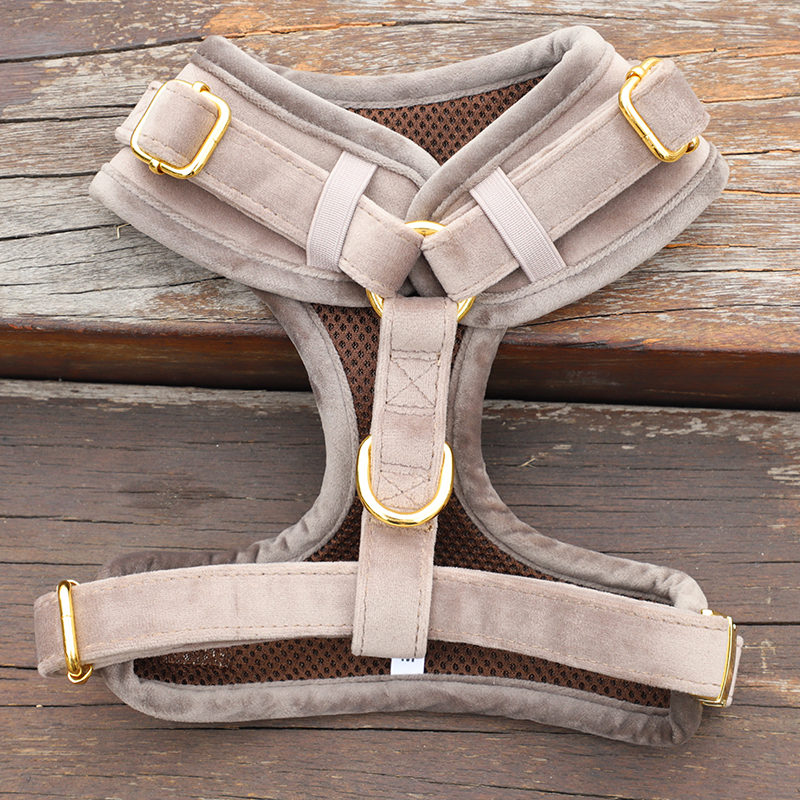 Ensemble harnais et laisse pour chien en velours côtelé doux et tweed, avec collier et accessoires pour animaux de compagnie. 11