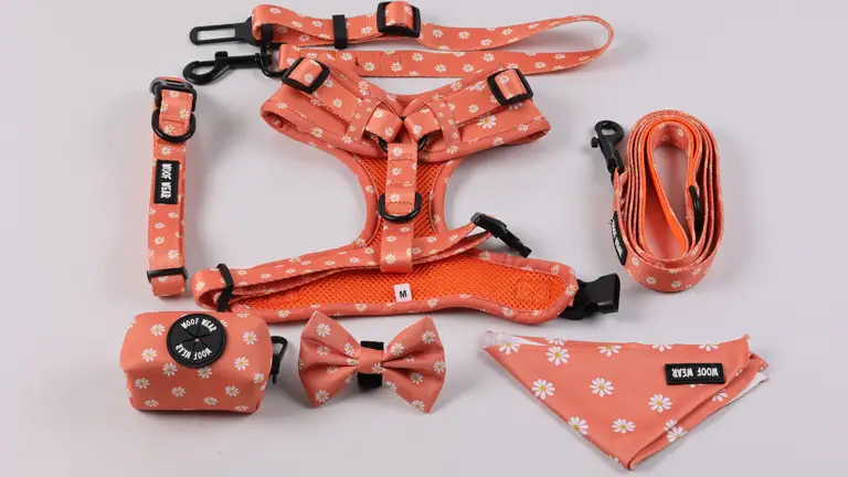 Harnais pour chien personnalisé par sublimation, design ajustable, imprimé en maille respirante en néoprène, ensemble harnais et laisse pour chien de Noël 1