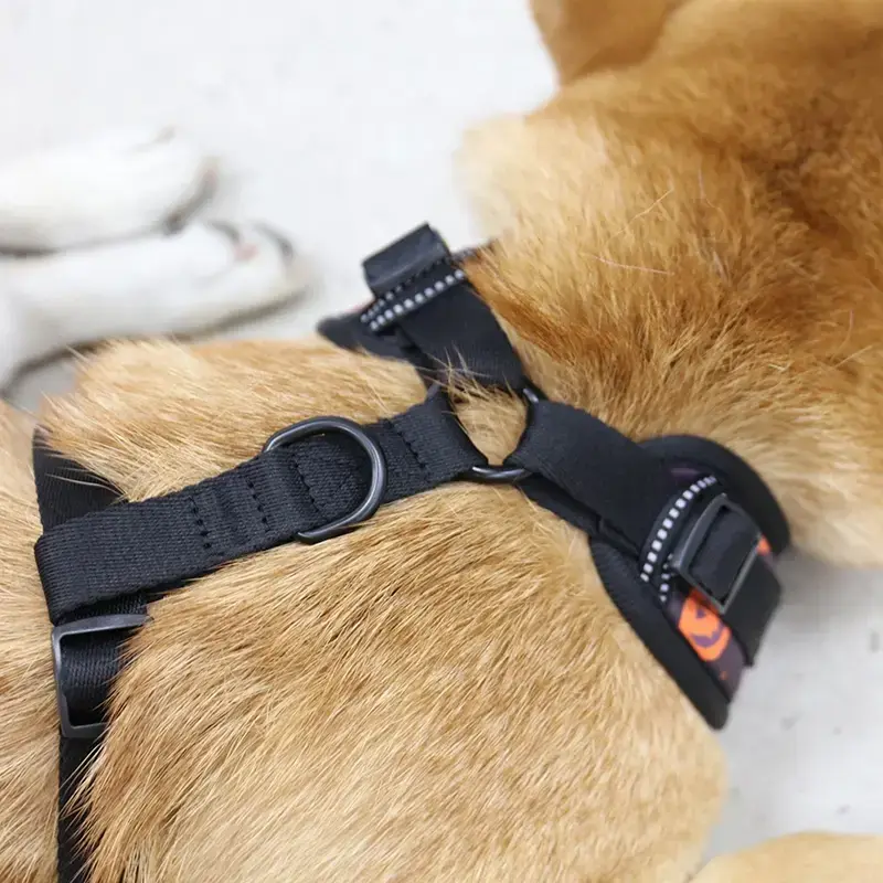 Premium Air-Mesh Dog Harness with Metal Clips by OKEYPETS 5