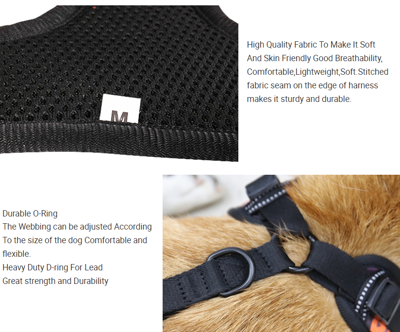 OKEYPETS Commandes en petite quantité disponibles en usine Gilet pour animaux de compagnie rembourré en néoprène doux, ajustable et personnalisé Harnais pour chien d'Halloween 11