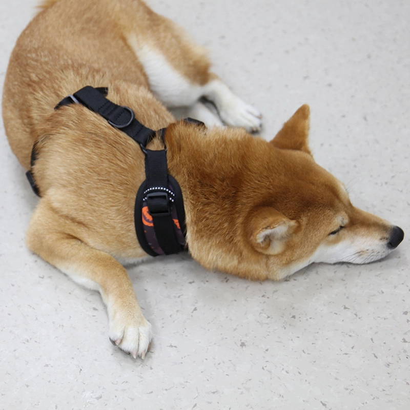 OKEYPETS Commandes en petite quantité disponibles en usine Gilet pour animaux de compagnie rembourré en néoprène doux, ajustable et personnalisé Harnais pour chien d'Halloween 14