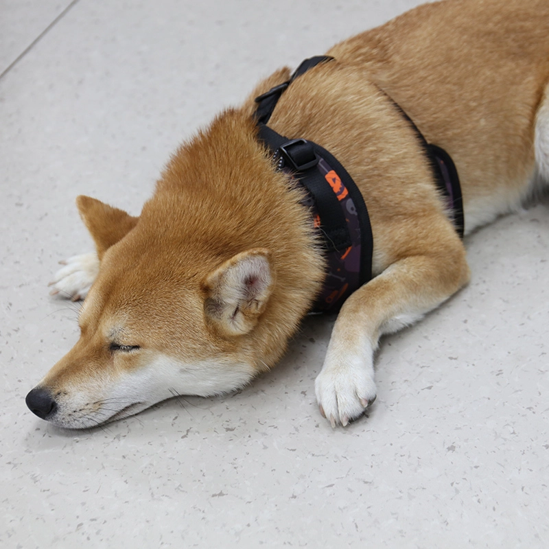 OKEYPETS Commandes en petite quantité disponibles en usine Gilet pour animaux de compagnie rembourré en néoprène doux, ajustable et personnalisé Harnais pour chien d'Halloween 15