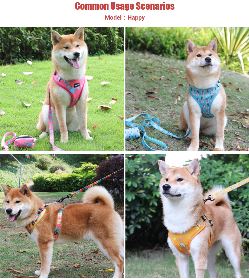 Harnais et laisse pour chien en maille respirante imprimée à motif dessin animé 11