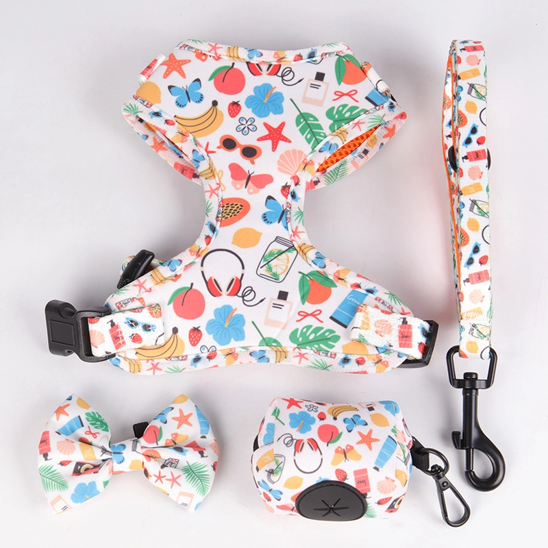 Harnais et laisse pour chien en maille respirante imprimée à motif dessin animé 8