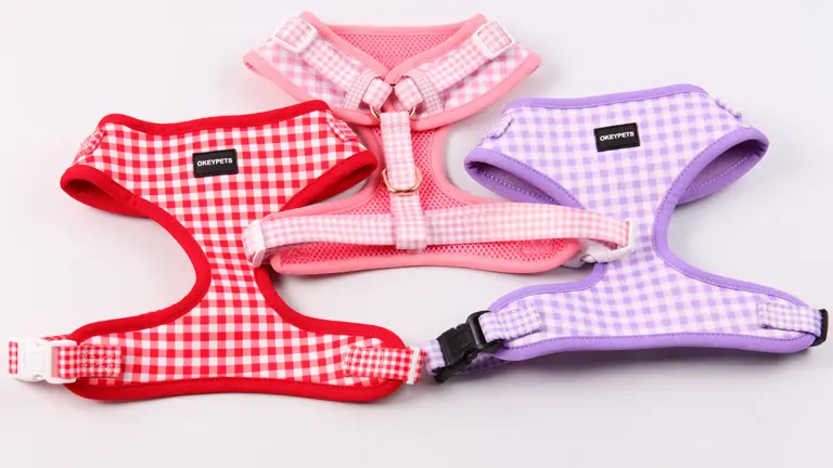 Harnais, collier et laisse rembourrés en néoprène avec logo personnalisé pour chienne, emballage cartonné sous sachet OPP. 1