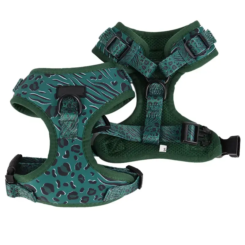 Úim Madra OKEYPETS Bully - Compordach &amp; Slán 2