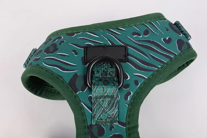 Úim Madra OKEYPETS Bully - Compordach &amp; Slán 5