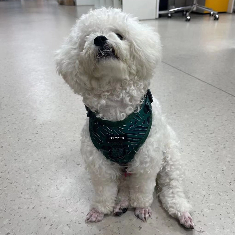 OKEYPETS Harnais pour chien Easy Walk avec laisse et sangles réglables au cou et au poitrail, imprimé léopard vert foncé 20