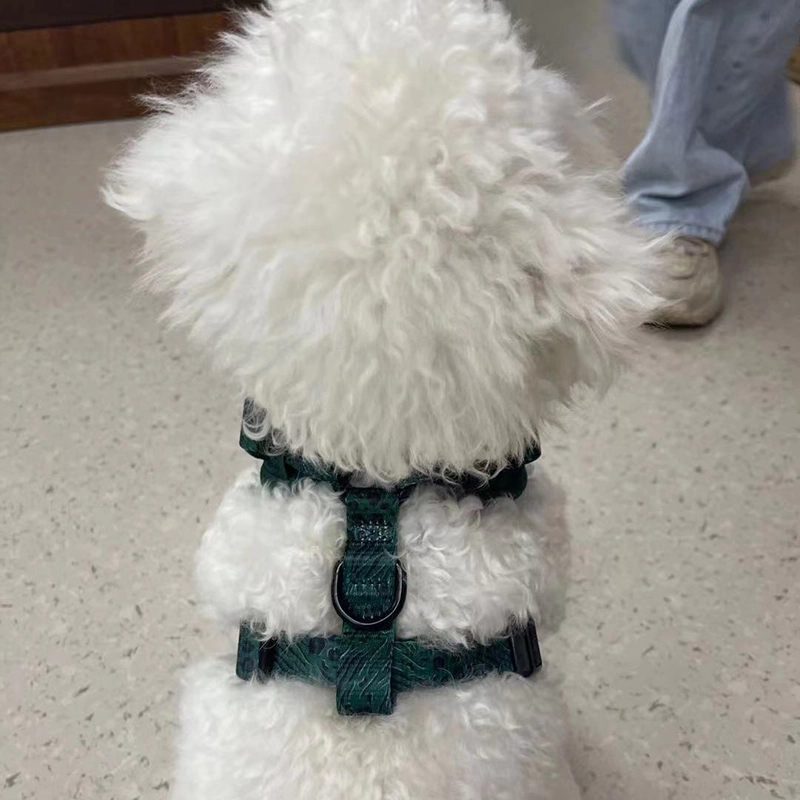 OKEYPETS Harnais pour chien Easy Walk avec laisse et sangles réglables au cou et au poitrail, imprimé léopard vert foncé 21