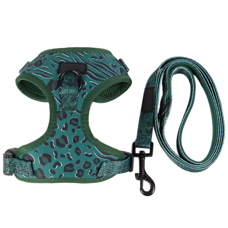 OKEYPETS Harnais pour chien Easy Walk avec laisse et sangles réglables au cou et au poitrail, imprimé léopard vert foncé 11