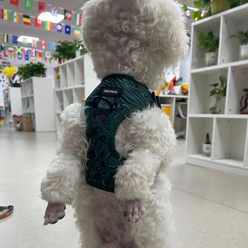 OKEYPETS Harnais pour chien Easy Walk avec laisse et sangles réglables au cou et au poitrail, imprimé léopard vert foncé 19