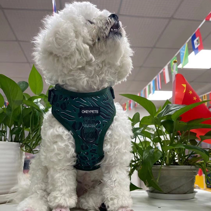 OKEYPETS Harnais pour chien Easy Walk avec laisse et sangles réglables au cou et au poitrail, imprimé léopard vert foncé 8