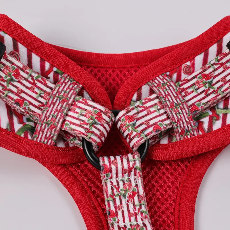 OKEYPETS | Fabrik til udendørs hundesele af høj kvalitet 2