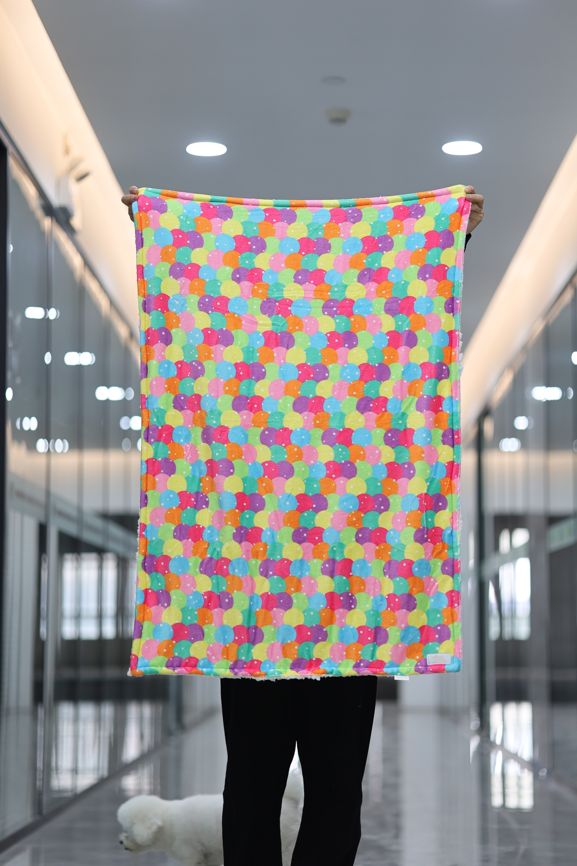 Puppy Dog and Cat Blanket Custom Indoor Fleece Sherpa Throw Blanket For Couch Bed Cover Soft Plush Fuzzy Washable 12