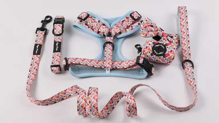 Ensemble harnais et laisse de luxe réglables pour chien, en néoprène, avec logo personnalisé. 1