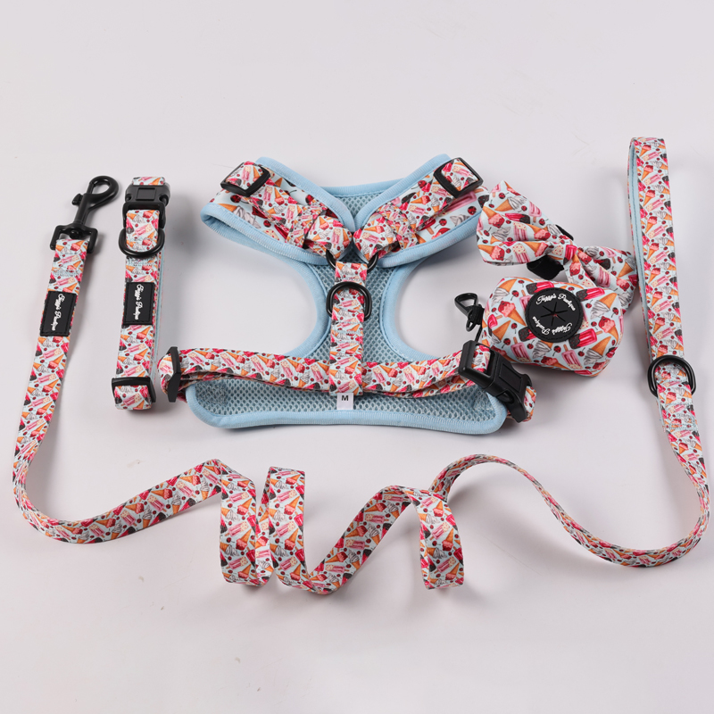 Ensemble harnais et laisse de luxe réglables pour chien, en néoprène, avec logo personnalisé. 6