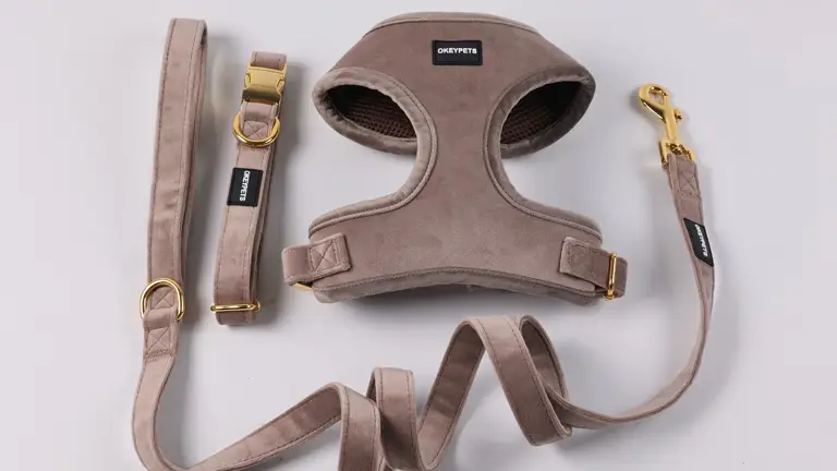 Ensemble harnais et laisse pour chien en gros, harnais en velours ajustable avec nœud papillon. 1