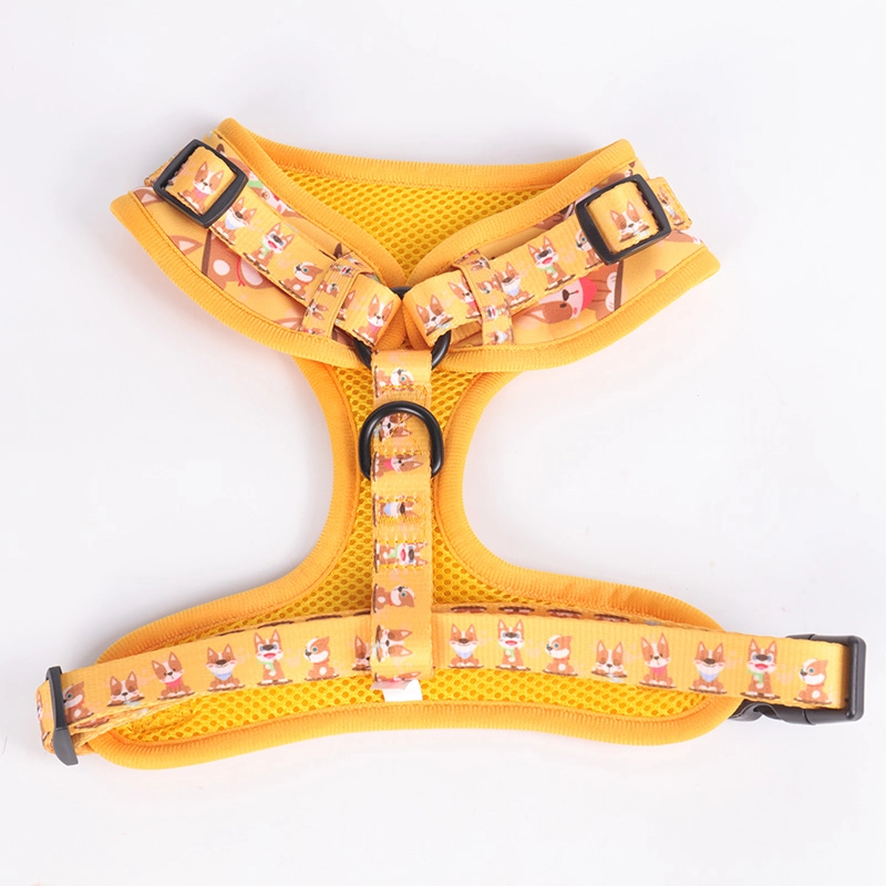 Harnais rembourré confortable OKEYPETS pour chiots, gilet harnais pour chiens de petite et moyenne taille, idéal pour la promenade 9