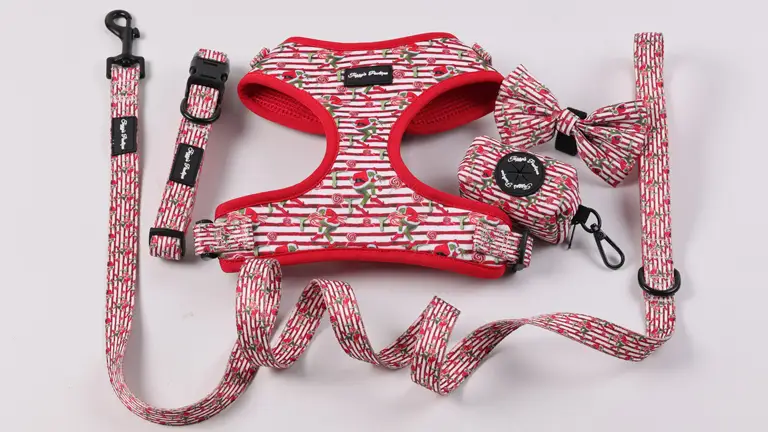 Custom Dog Harness Adjustable Breathable Soft Neoprene Dog Leash and Collar Set 1