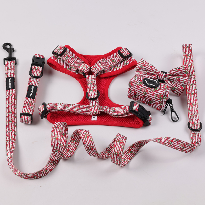 Custom Dog Harness Adjustable Breathable Soft Neoprene Dog Leash and Collar Set 7