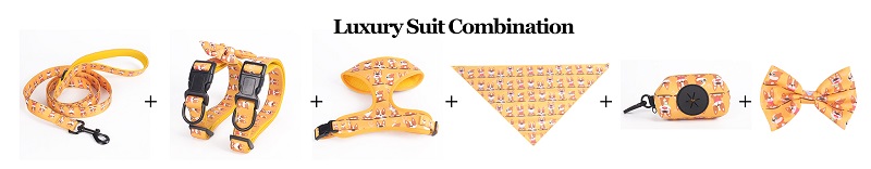 OKEYPETS Fashion Personalized Custom Yellow Lovely Puppy Pet Accessories Pet Collar Leash and Harness Set Manufacturer 6