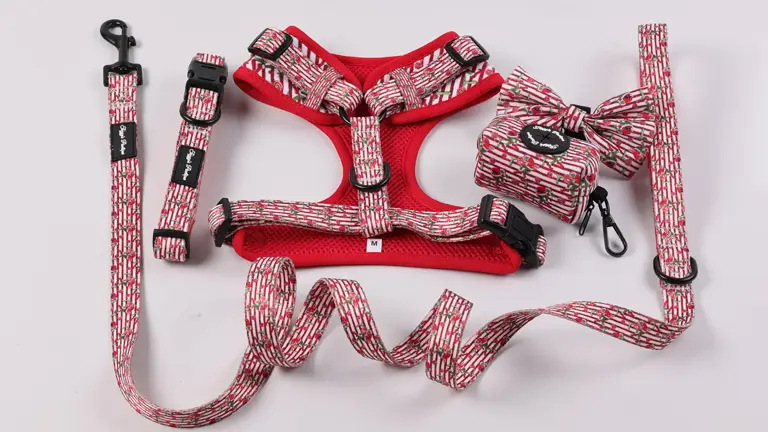 Nouveauté 2023 : Harnais pour chien personnalisé en néoprène, ajustable et de créateur 1