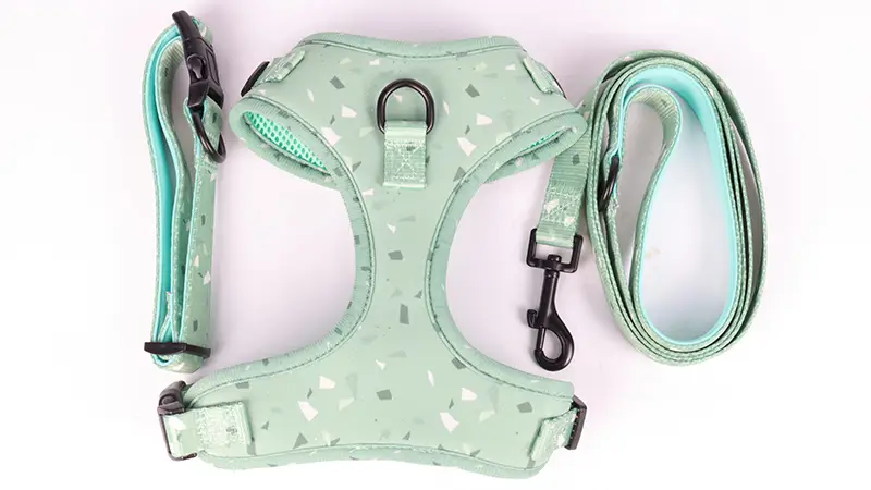 Személyre szabott 3 az 1-ben kutyahám szett nyakörvvel és pórázzal - legjobb kutyahám sétáltatáshoz - OKEYPETS 1