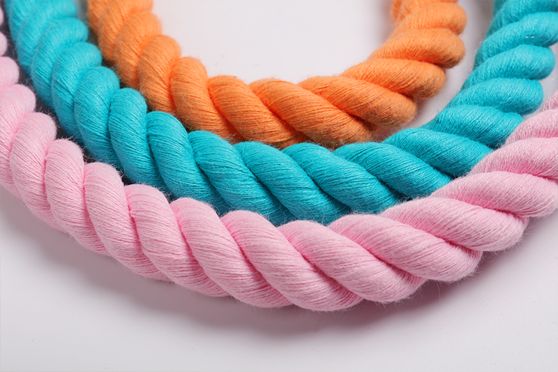 Laisse pour chien en coton ombré OKEYPETS, vente en gros. Laisse douce en coton pour chien. 10