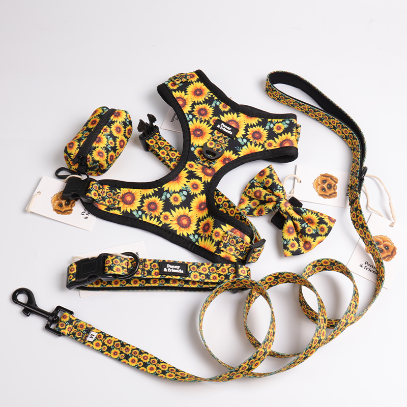 Harnais pour chien imprimé marguerite, fabricant OKEYPETS, harnais pour chiot avec anneau en D 8