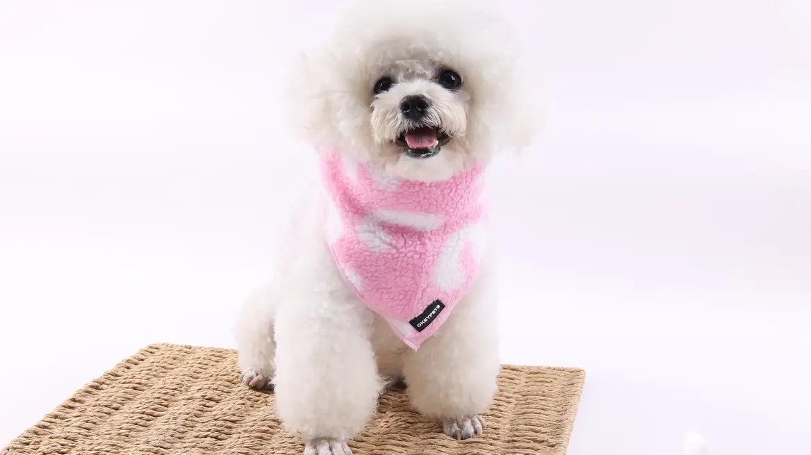 Kisállat-szállító kiegészítők egyedi tervezésű kutyahám-készlet kényelmes, meleg sherpa kisállat-kutyahám nyakörv póráz 1