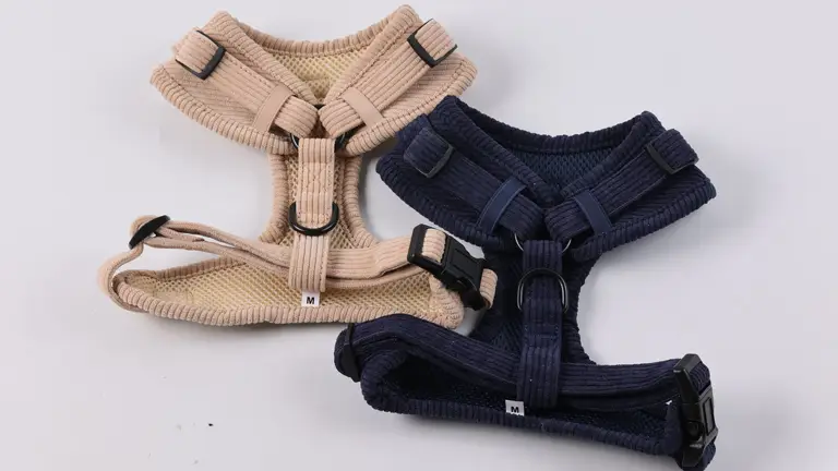 Ensemble collier et laisse pour chien avec porte-sacs à déjections canines en velours côtelé imprimé de haute qualité, personnalisable par sublimation et nœud papillon. 1