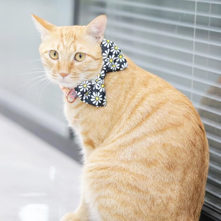 OKEYPETS Nœuds papillon pour animaux de compagnie par sublimation, motifs personnalisés, colorés, résistants et mobiles, pour chats et chiens, nœud papillon de Noël 20