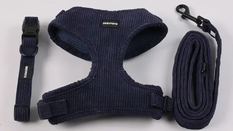 Harnais pour chien moyen en velours côtelé personnalisable et ajustable, avec collier anti-traction et laisse inclus. 1