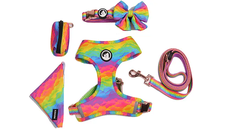 Ensemble harnais pour chien OKEYPETS imprimé arc-en-ciel avec collier et laisse. Harnais pour chiot. 1